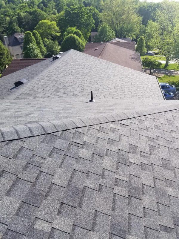 Gray shingle roof, view from above. Black pipes and surrounding trees visible.