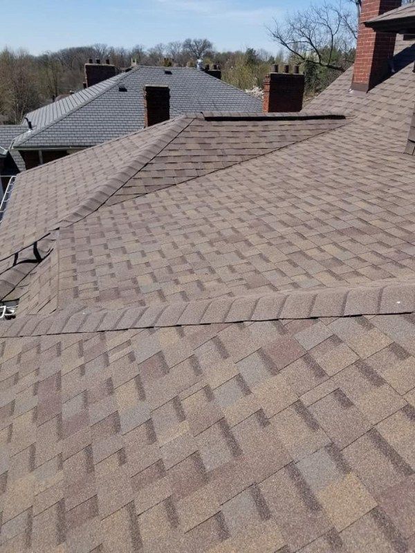 Brown shingle roof with two chimneys against a blue sky, trees in the background.