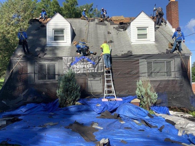Roofing crew removing old shingles from a house with tarps covering the ground. Blue sky.