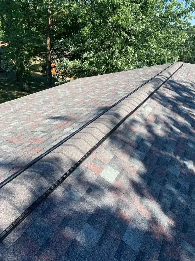Close-up of a shingled roof with a dark ridge line; green trees in the background.
