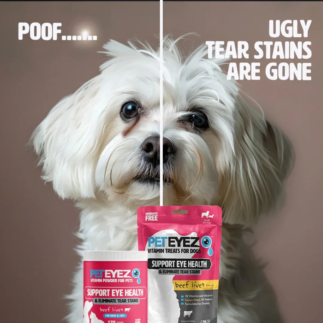 A picture of a dog next to a bag of pet eyez