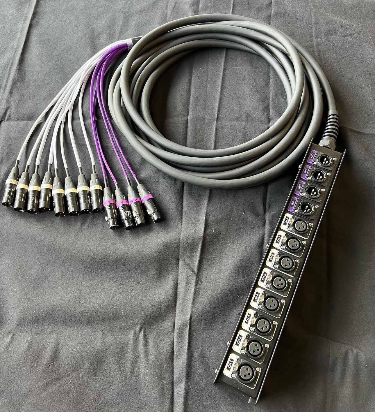 CUSTOM STAGE SNAKES