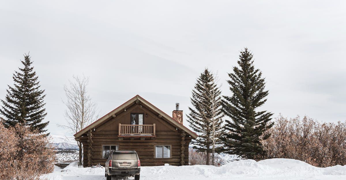 Cabin in Snow