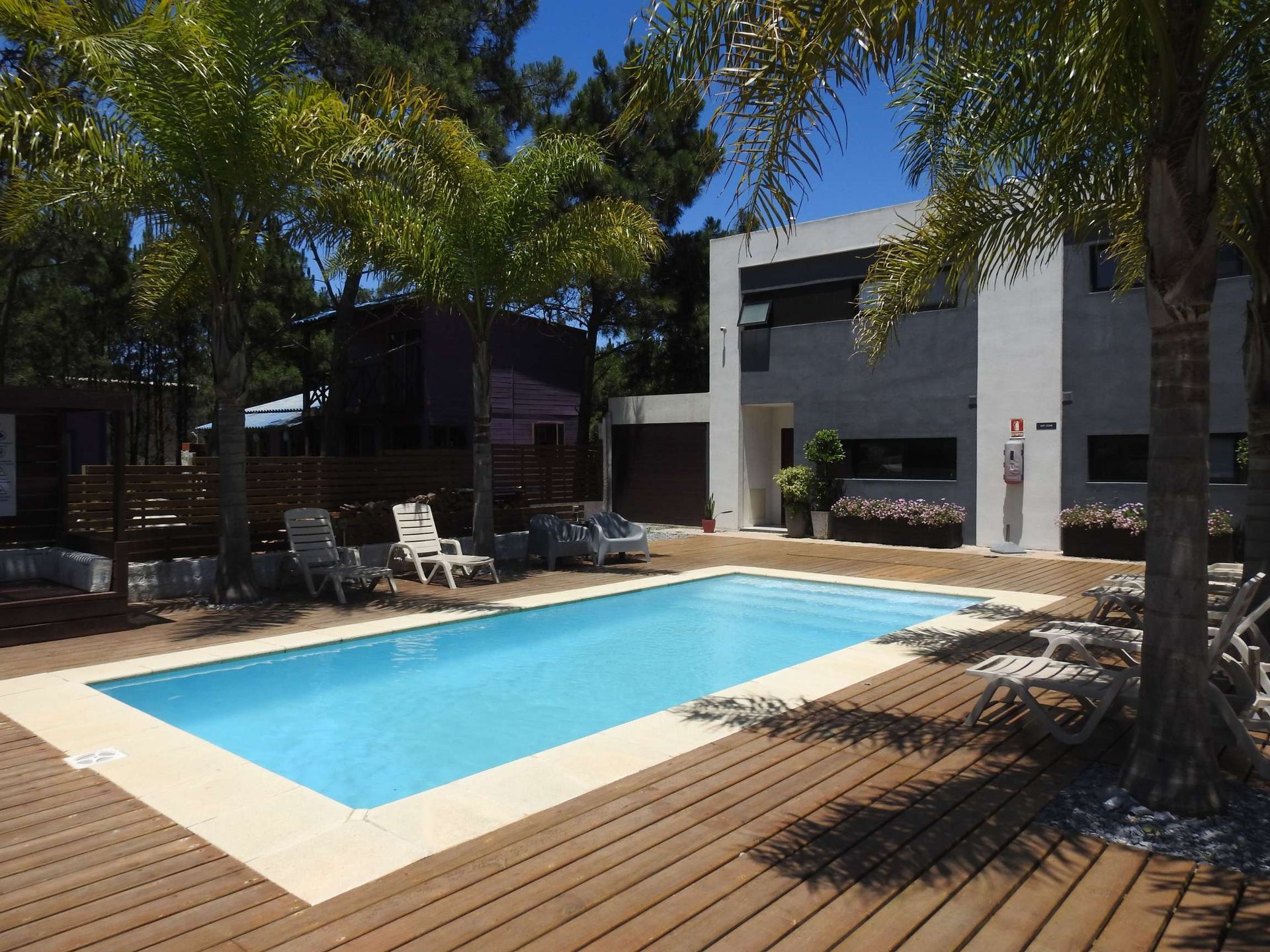 A large swimming pool is surrounded by chairs and trees