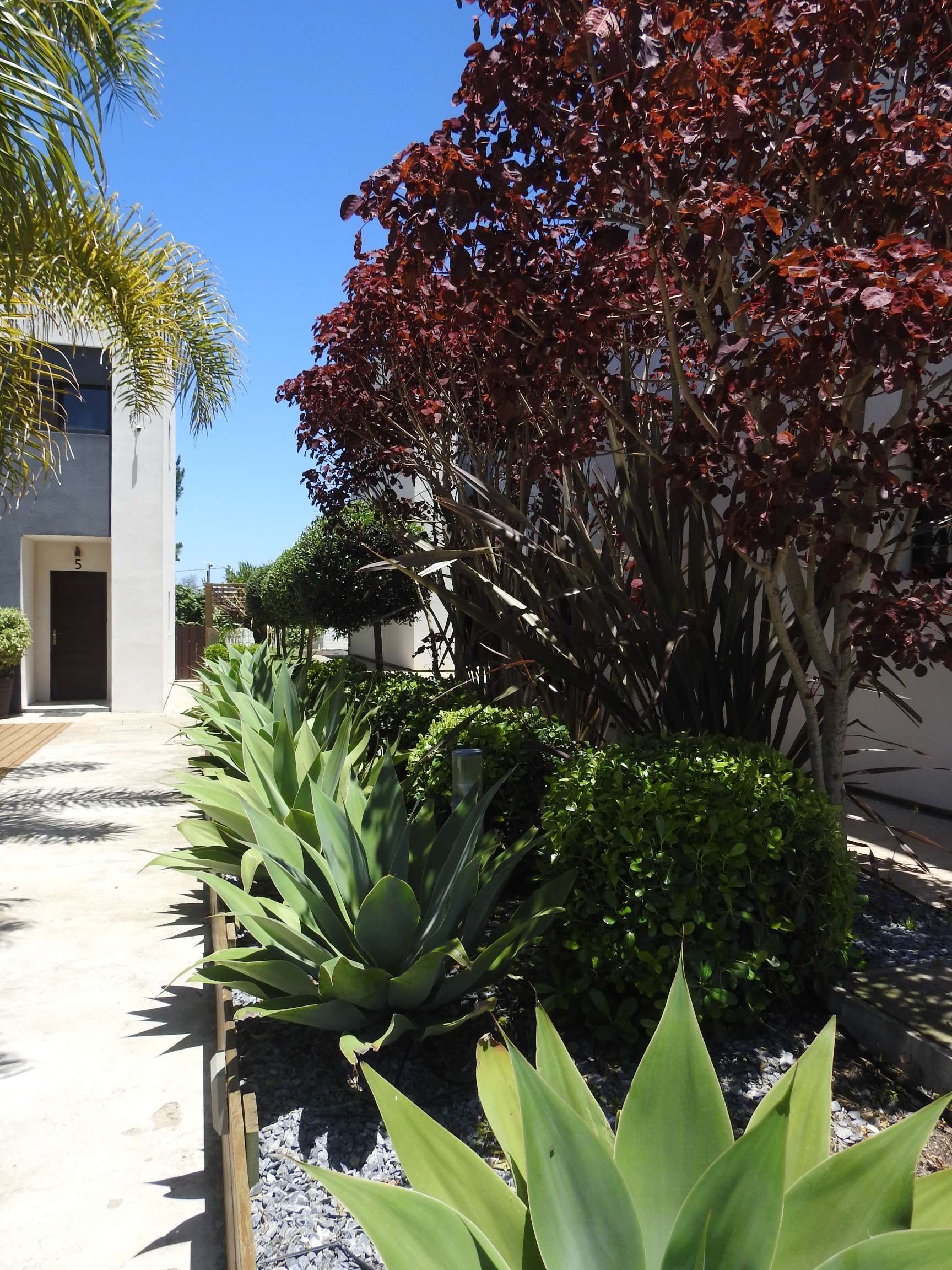 A row of plants and trees in front of a building