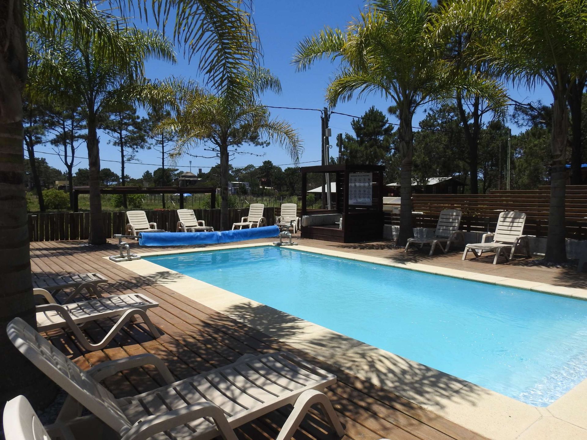 A large swimming pool surrounded by chairs and palm trees