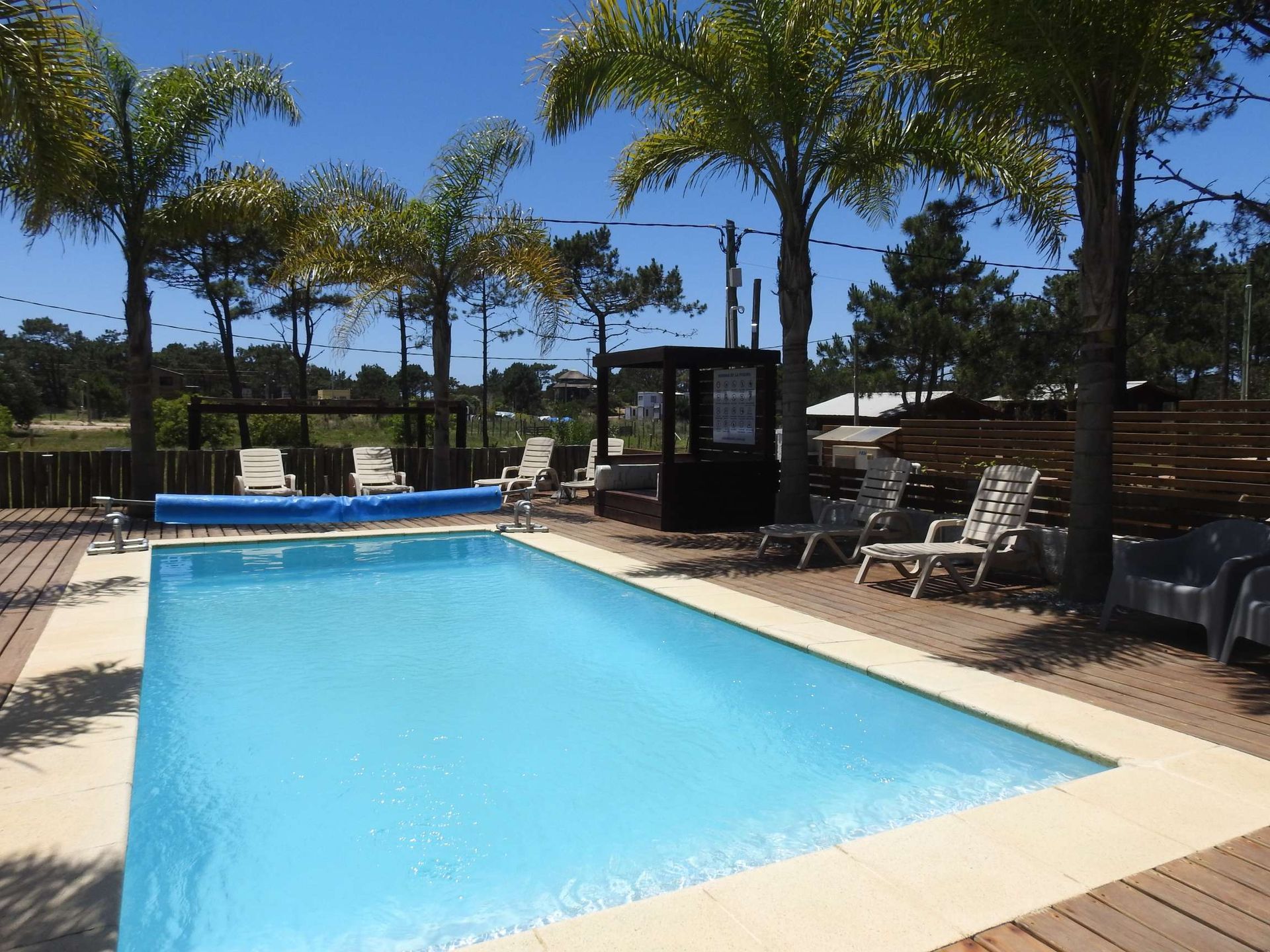 A large swimming pool surrounded by chairs and palm trees