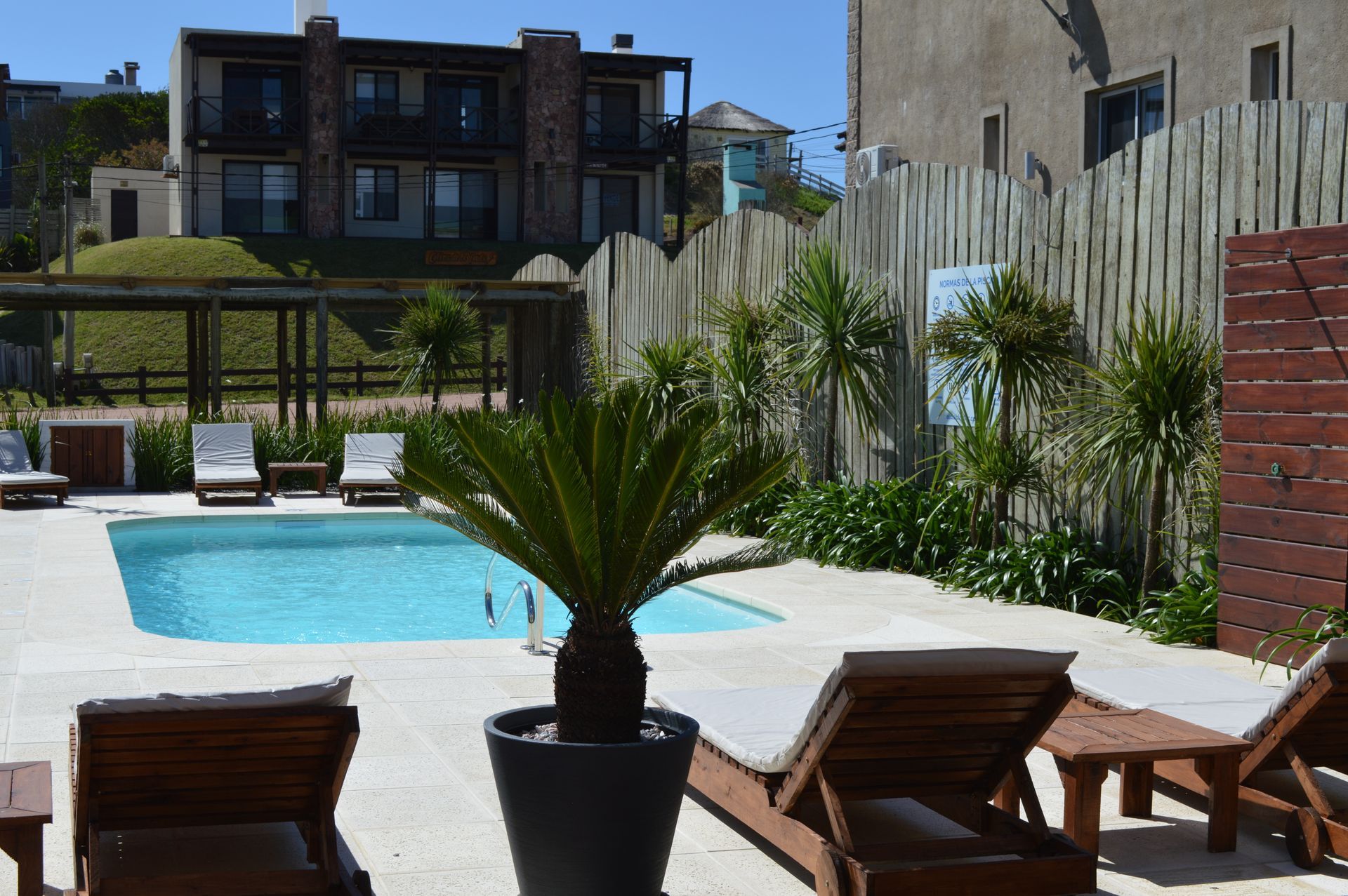 A swimming pool surrounded by chairs and a potted plant