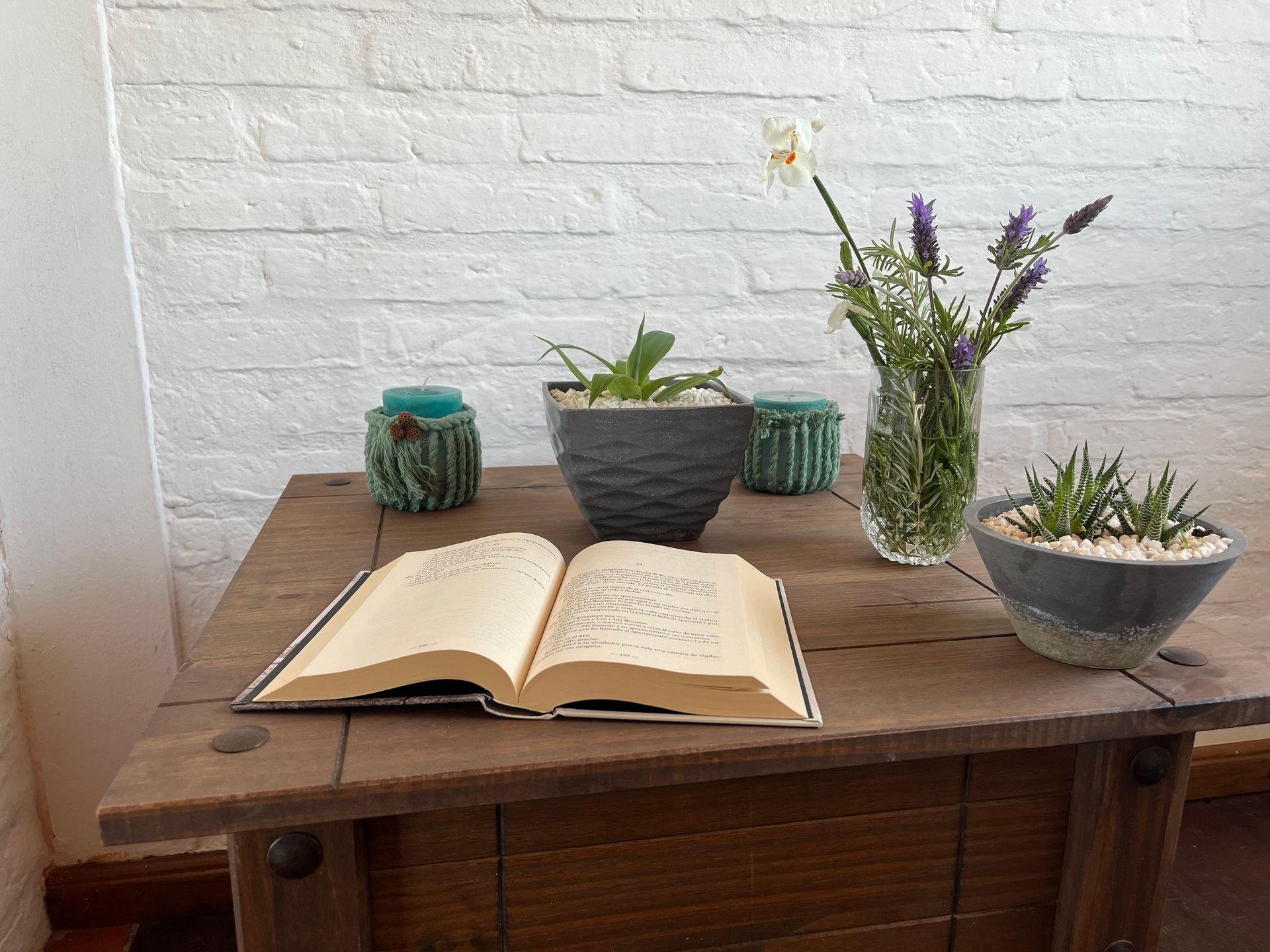 An open book is sitting on a wooden table next to potted plants.