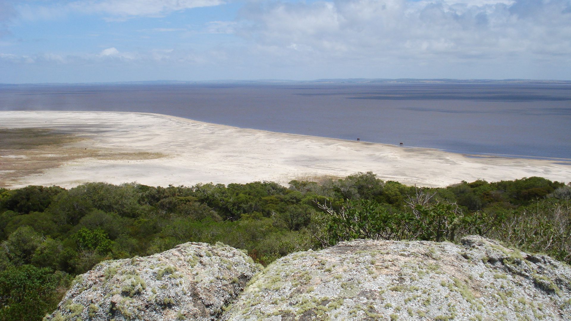 A large body of water is surrounded by trees and rocks.