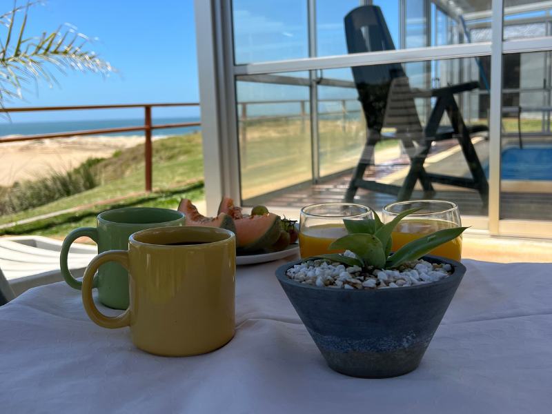 A table with cups and a plant on it with a view of the ocean.
