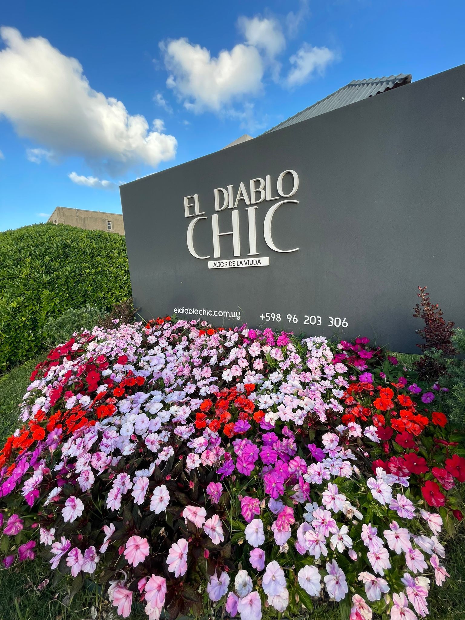 A bunch of flowers are growing in front of a sign that says `` h. diablo chic ''.