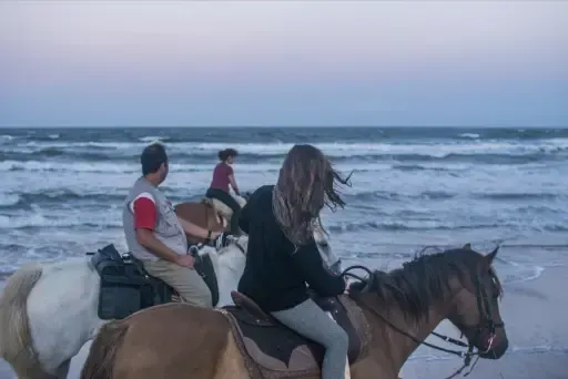 A group of people are riding horses on the beach.