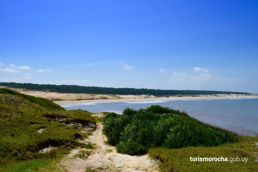 A path leading to a beach with a blue sky in the background.