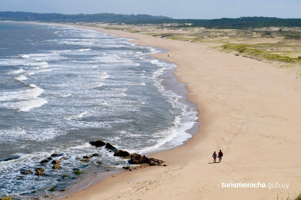 Two people are walking on a beach near the ocean