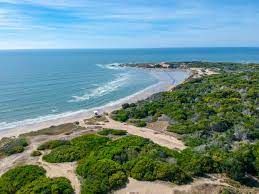 An aerial view of a beach surrounded by trees and bushes next to the ocean.