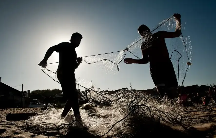 Two men are throwing fishing nets on a beach.