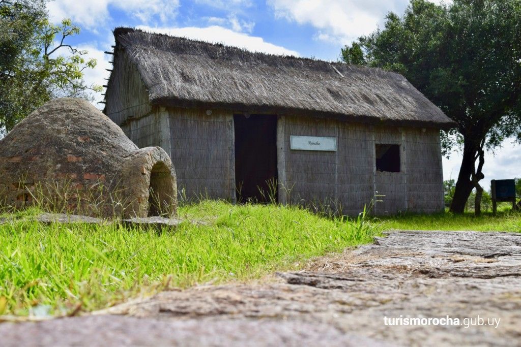 A small hut with a thatched roof is sitting in the middle of a grassy field.