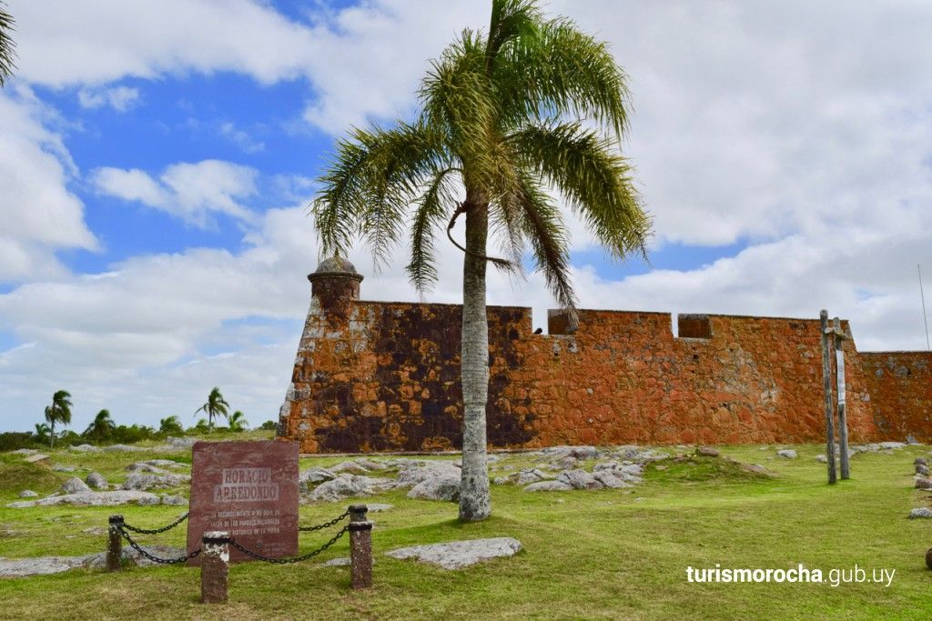 A palm tree is standing in front of a brick wall.