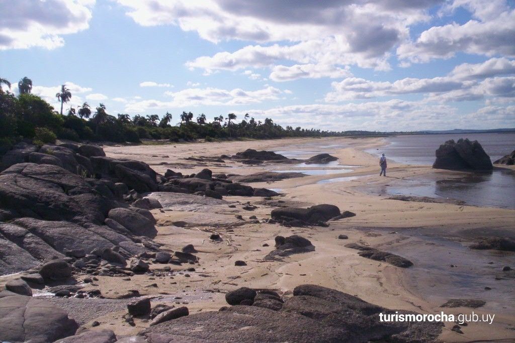 A man is walking on a sandy beach near a body of water