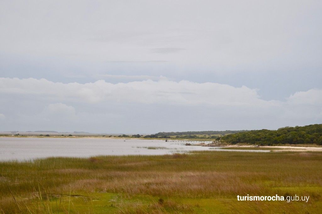 A large body of water surrounded by grass and trees with a cloudy sky in the background.