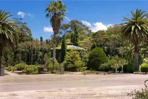 A park with palm trees and a house in the background