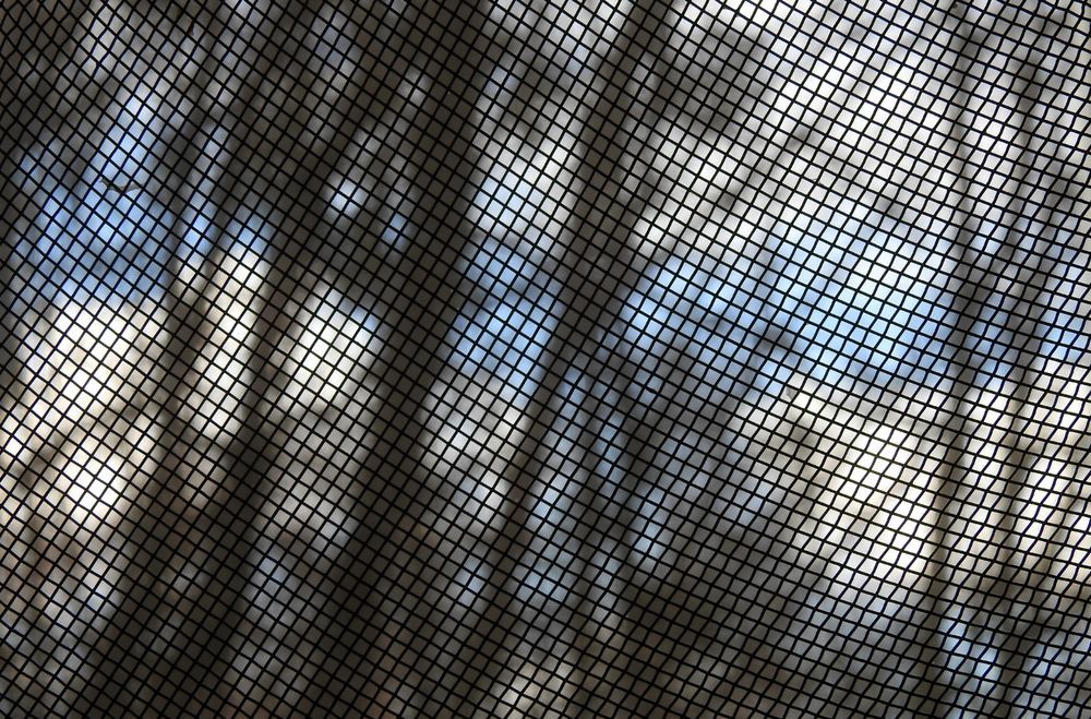 Two Children Stand Inside a Doorway — Suburban Security Screens in Currumbin, QLD