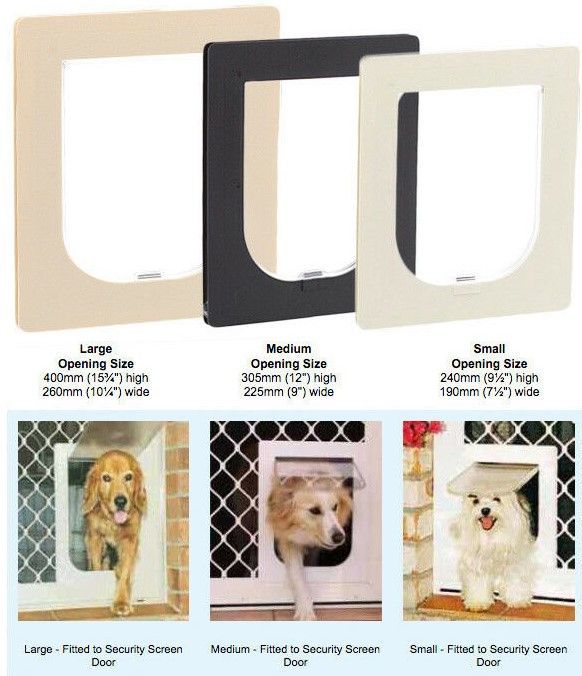 Three Sizes of Pet Doors Shown with Product Frames — Suburban Security Screens in Currumbin, QLD