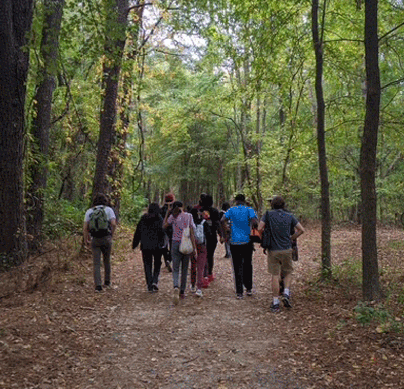Group of people walking down a wooded trail in a green forest