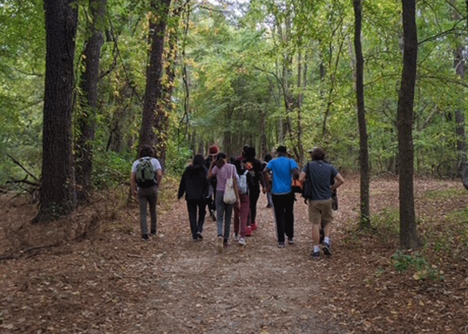 Group of hikers walking along a wooded forest trail in daylight