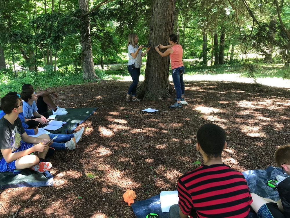 People sitting outdoors in a wooded area, gathered around a large tree during an activity.