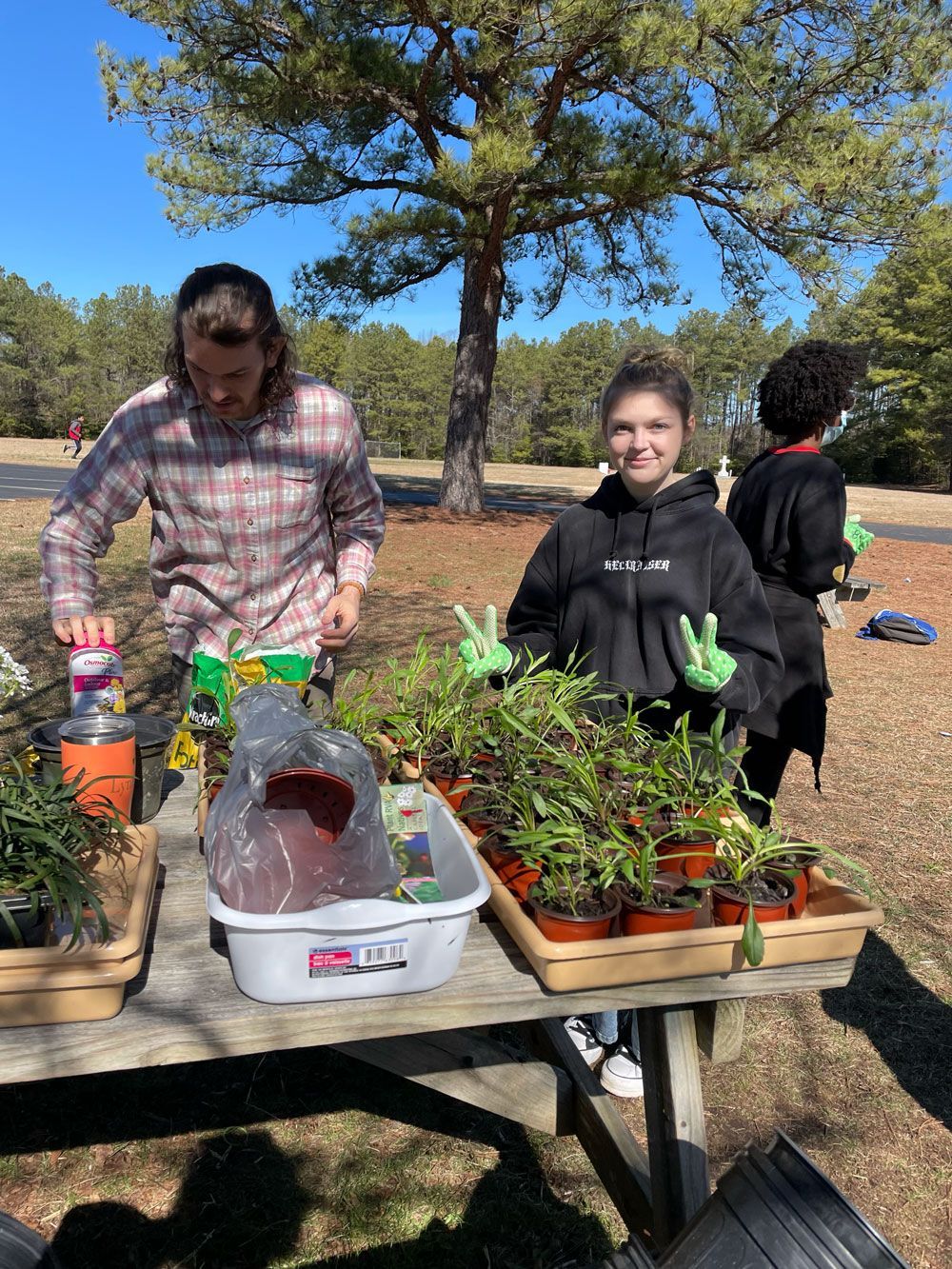 People arranging potted seedlings on a picnic table outdoors under a tree on a sunny day