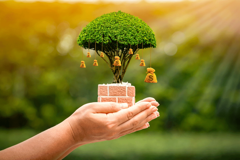 Hand holding a small tree growing from stacked bricks, symbolizing green construction and sustainability.