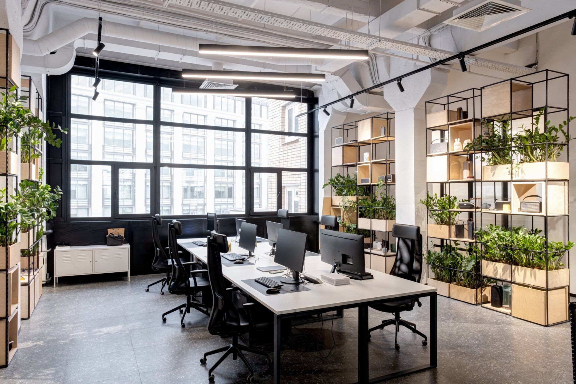 A large open office with a lot of windows and plants.