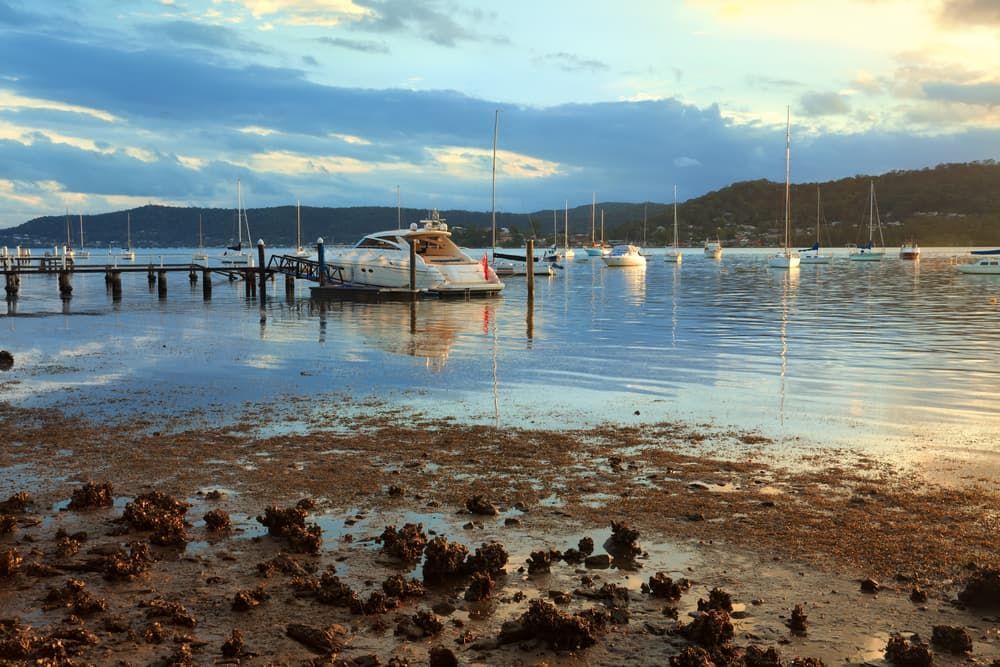 Boat In River — Residential & Commercial Shade Sails in Gosford, NSW