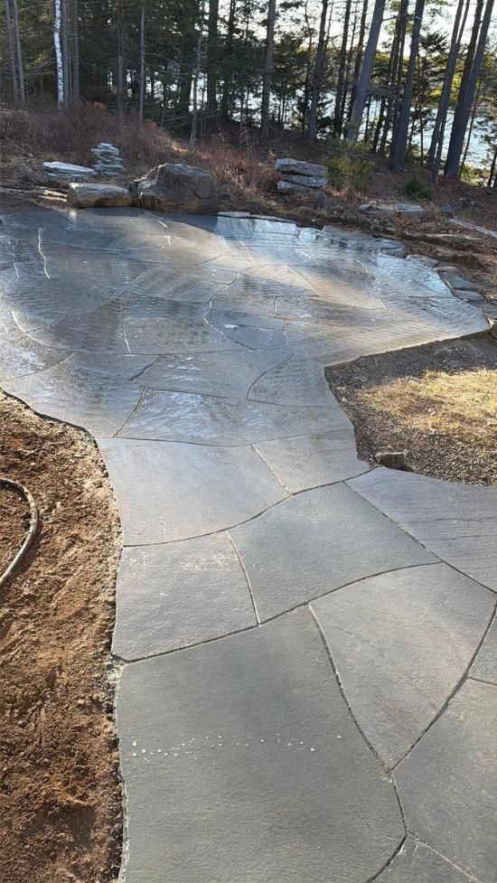 Curved wet concrete patio with crack lines, bordered by mulch and bare trees in a wooded yard