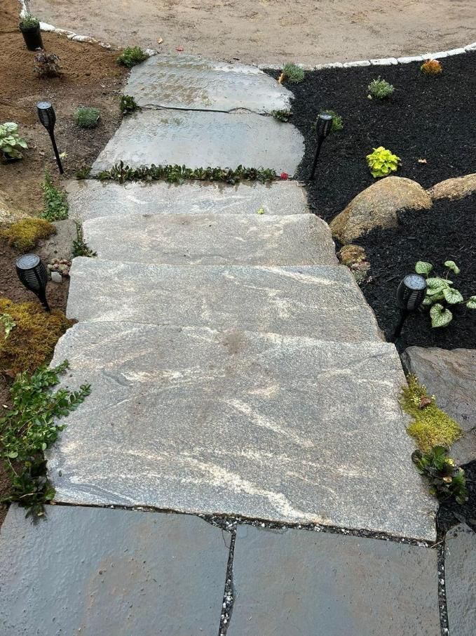 Stone garden path bordered by small plants and dark mulch on both sides