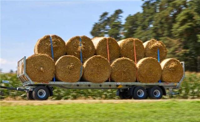 BALEN WAGENS