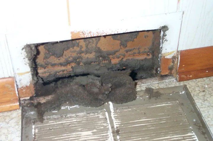 Dryer Vent Cleaning Before