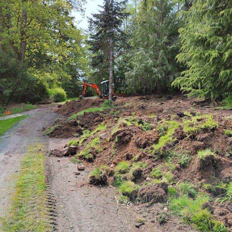 Dirt pile beside a dirt road with an excavator at the top, surrounded by trees.