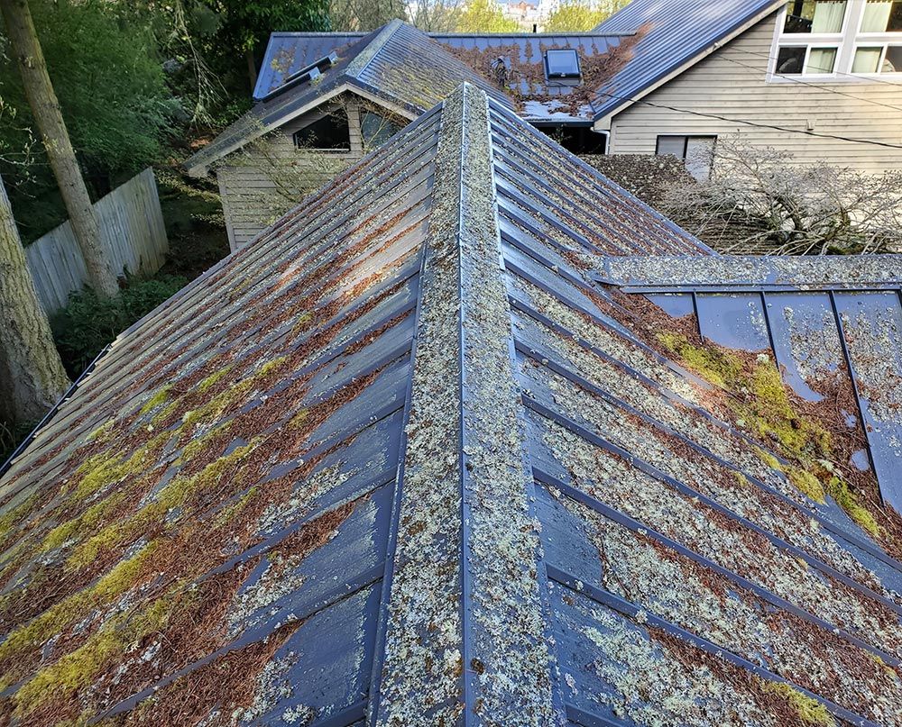 Metal roof covered in moss and debris.