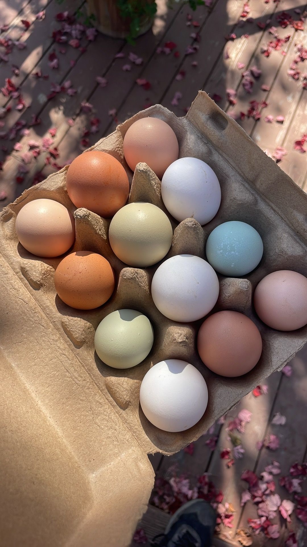 Eggs