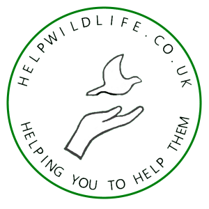 Logo: hand releasing a bird. Text: