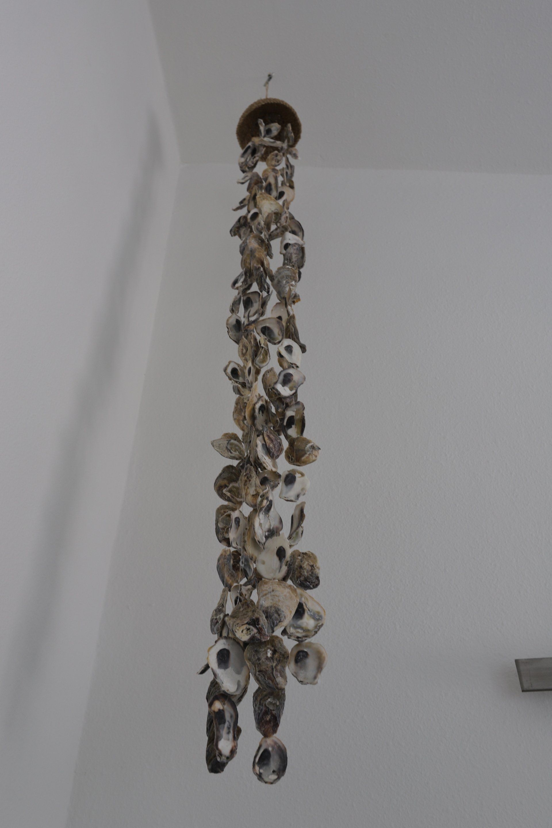 Een windgong van schelpen hangt tegen een witte muur.