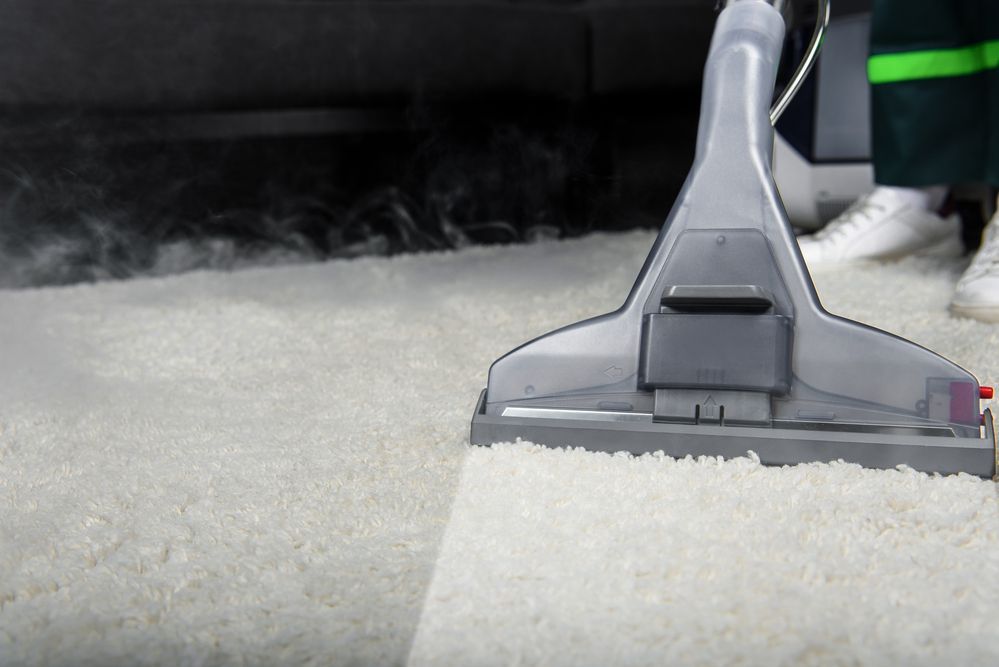 A person is using a vacuum cleaner to clean a carpet.