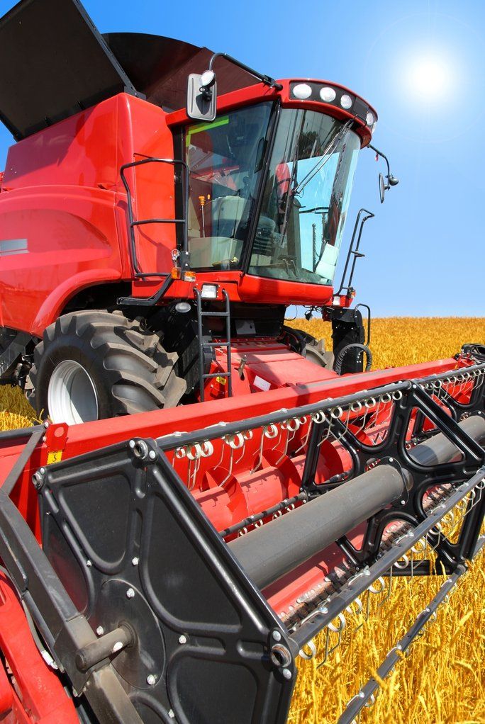 A red combine harvester moves through a golden cornfield under a bright blue sky.