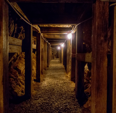 A dimly lit mine tunnel with wooden support beams and a gravel path illuminated by glowing lights along the walls.