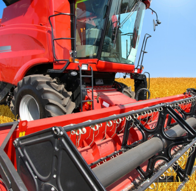 A red combine harvester harvests a field of dry yellow corn under a bright blue sky.