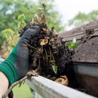 A person is cleaning a gutter of leaves and dirt from a roof.