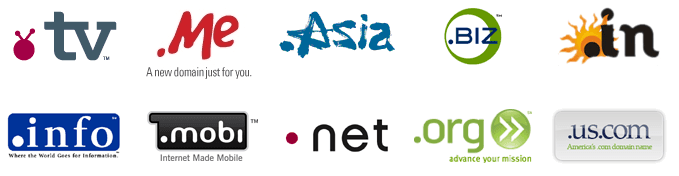 A logo for anynameonline with a globe and a search bar A logo for anynameonline with a globe and a search bar